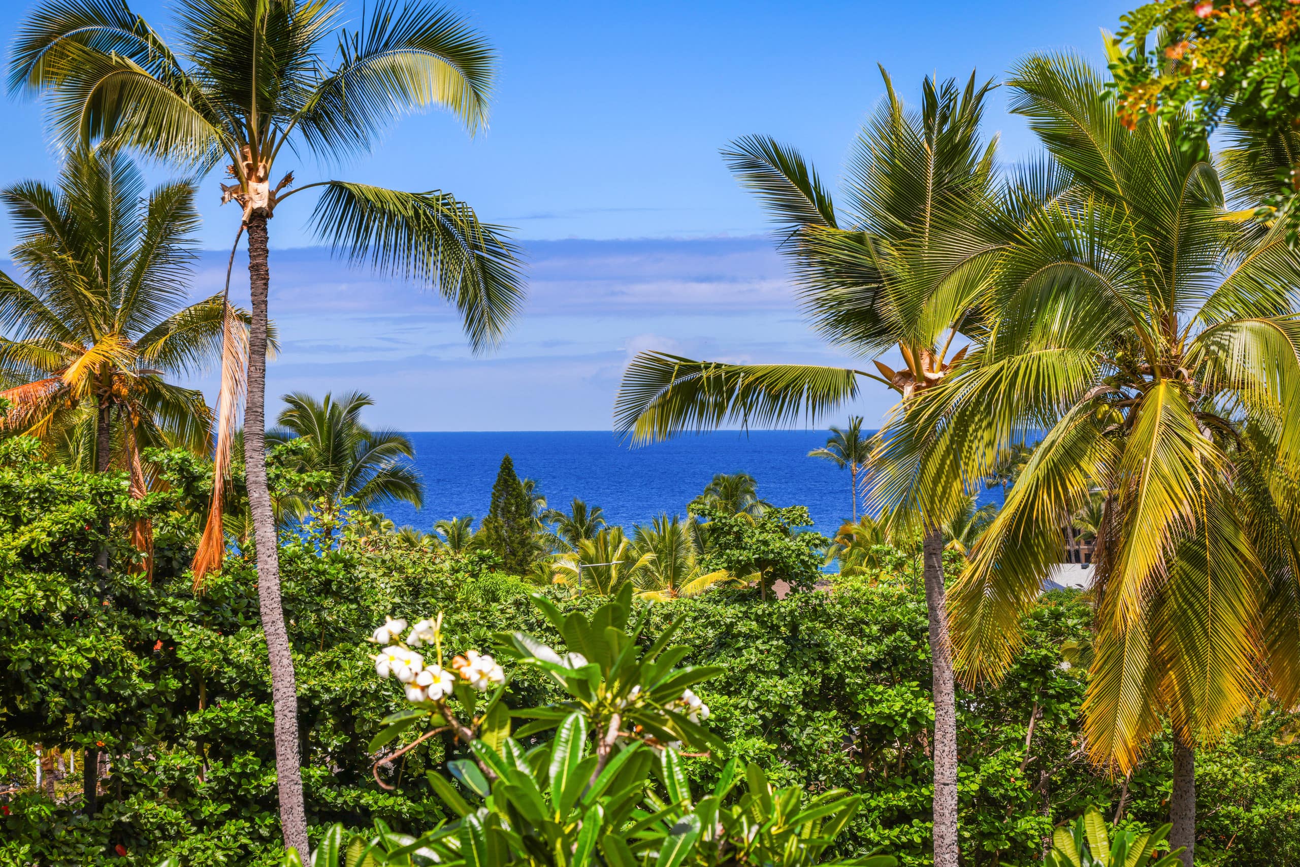 Condo in Kailua-Kona · ★4.98 · 1 bedroom · 2 beds · 1 bath - Image 25