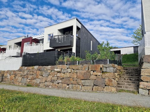 Modern house in Solbakkane just behind Kongeparken!