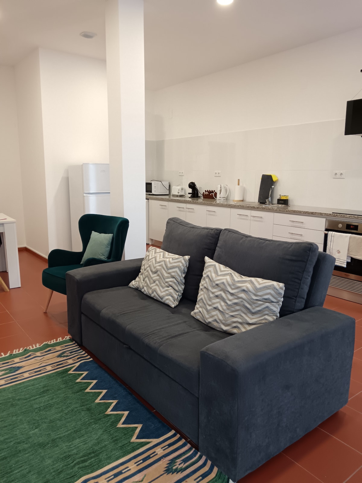 A spacious living area features a comfortable dark sofa with decorative cushions, accompanied by a green armchair. A patterned rug lies beneath, and a modern, well-equipped kitchen is visible in the background, showcasing various appliances and ample cabinetry.