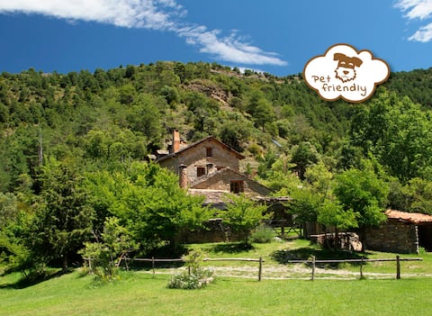 La Pegatera. Cottage in the forest. Disconnect