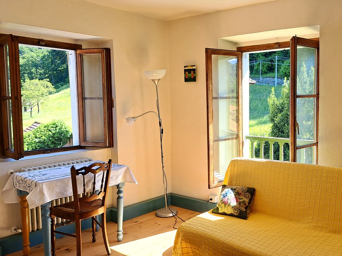 Top performing Airbnb: Historic apartment - Via Rinaldi in Verbano Cusio Ossola