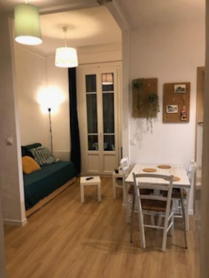 Bel Appartement Nice Centre - Nice