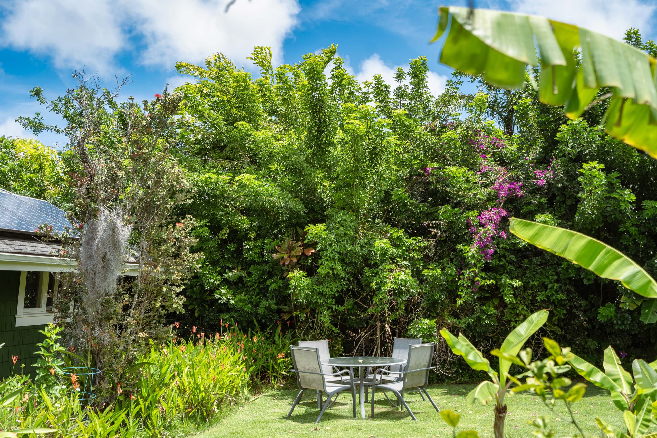 Maile Bungalow- County Licensed - Photo 22
