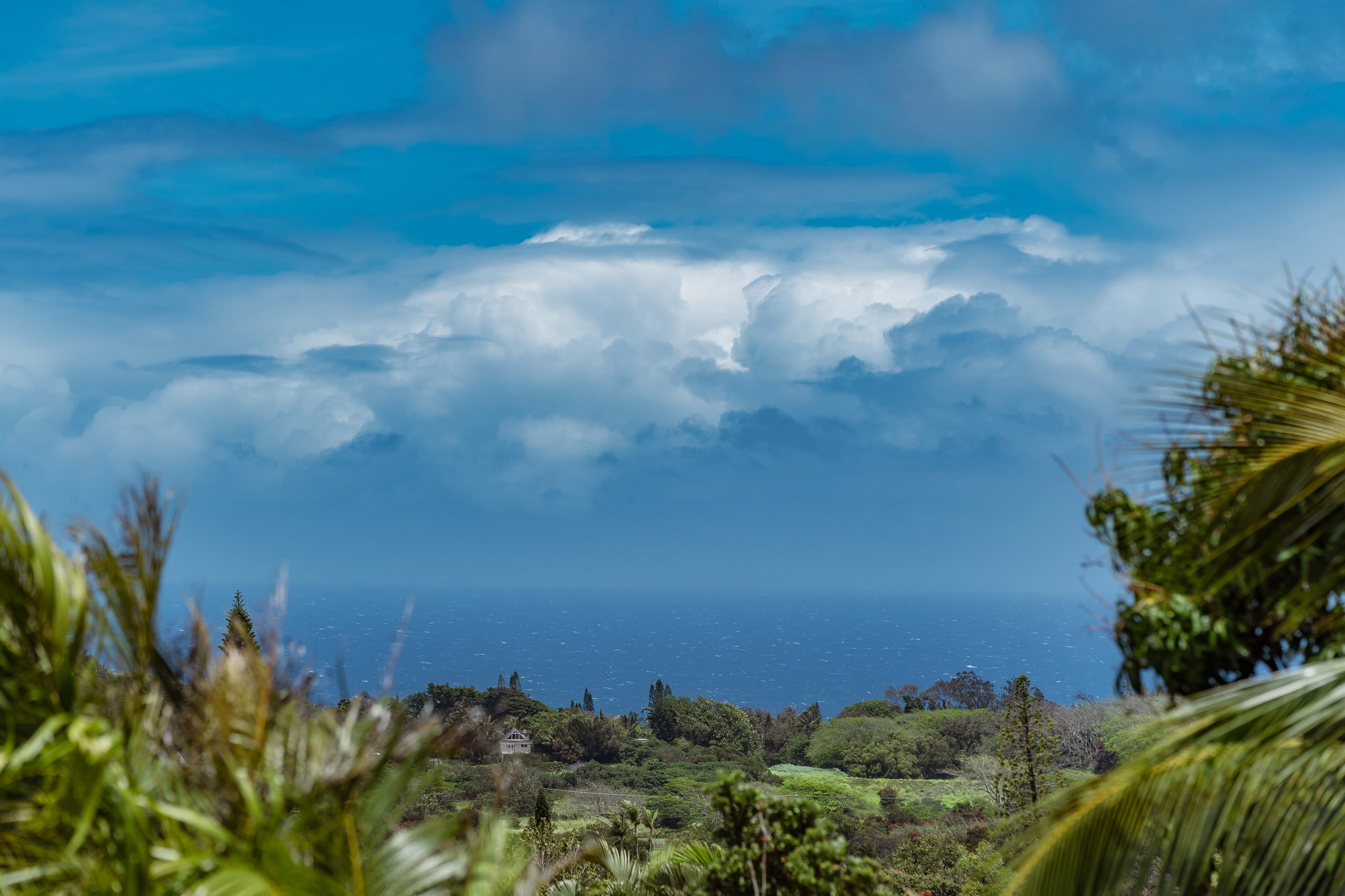 Maile Bungalow- County Licensed - Photo 31