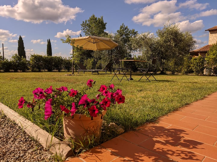 San Gimignano And Volterra- Pet Friendly - Volterra