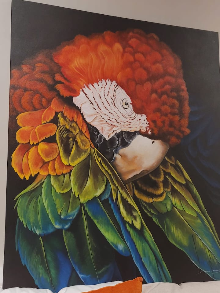 "The Parrot Bedroom #1,  Art Identifier. מפתח הדלת הצבעוני האדום שלכם, ציור תוכי של אמני טיקו מקומיים וכריות כתומות וכחולות מוכתר על ידי חדר רחצה פרטי בצבע ירוק אמרלד