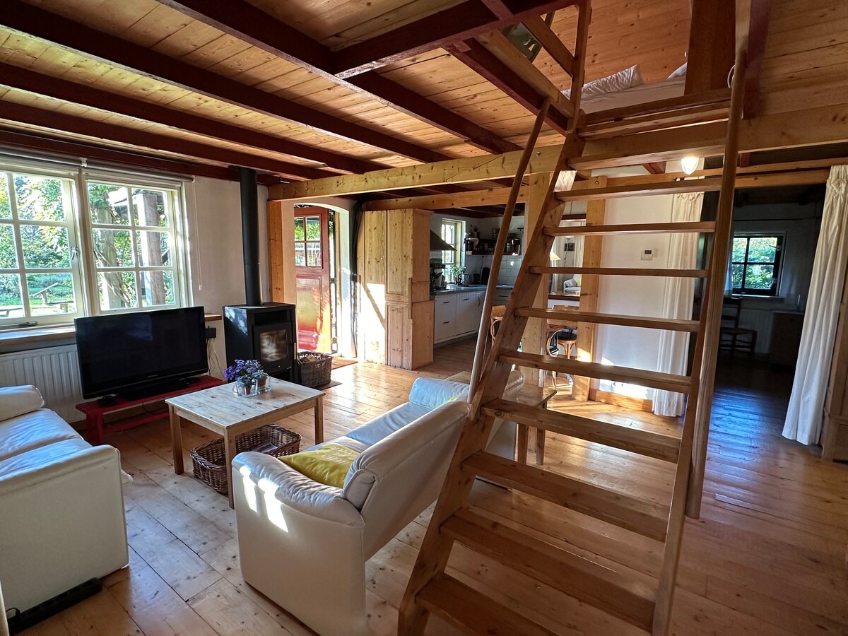 An open living area features wooden beams and warm wooden flooring. A cozy seating arrangement is present with light-colored couches facing a TV and fireplace. Large windows allow natural light to illuminate the space, with a staircase leading to the upper level visible in the background.