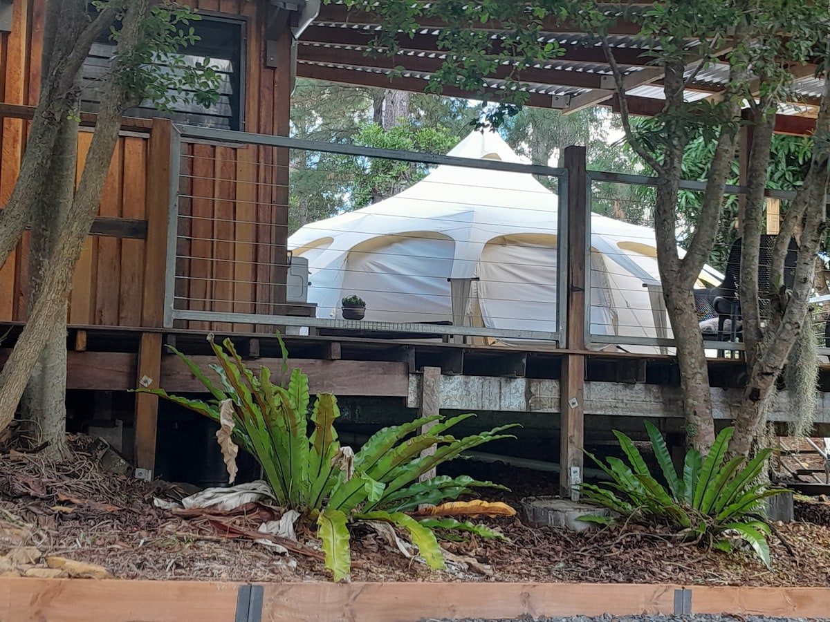 A raised wooden deck is surrounded by lush greenery, including ferns. In the background, a belle tent with a creamy exterior is visible, nestled among the trees, suggesting a tranquil outdoor setting.
