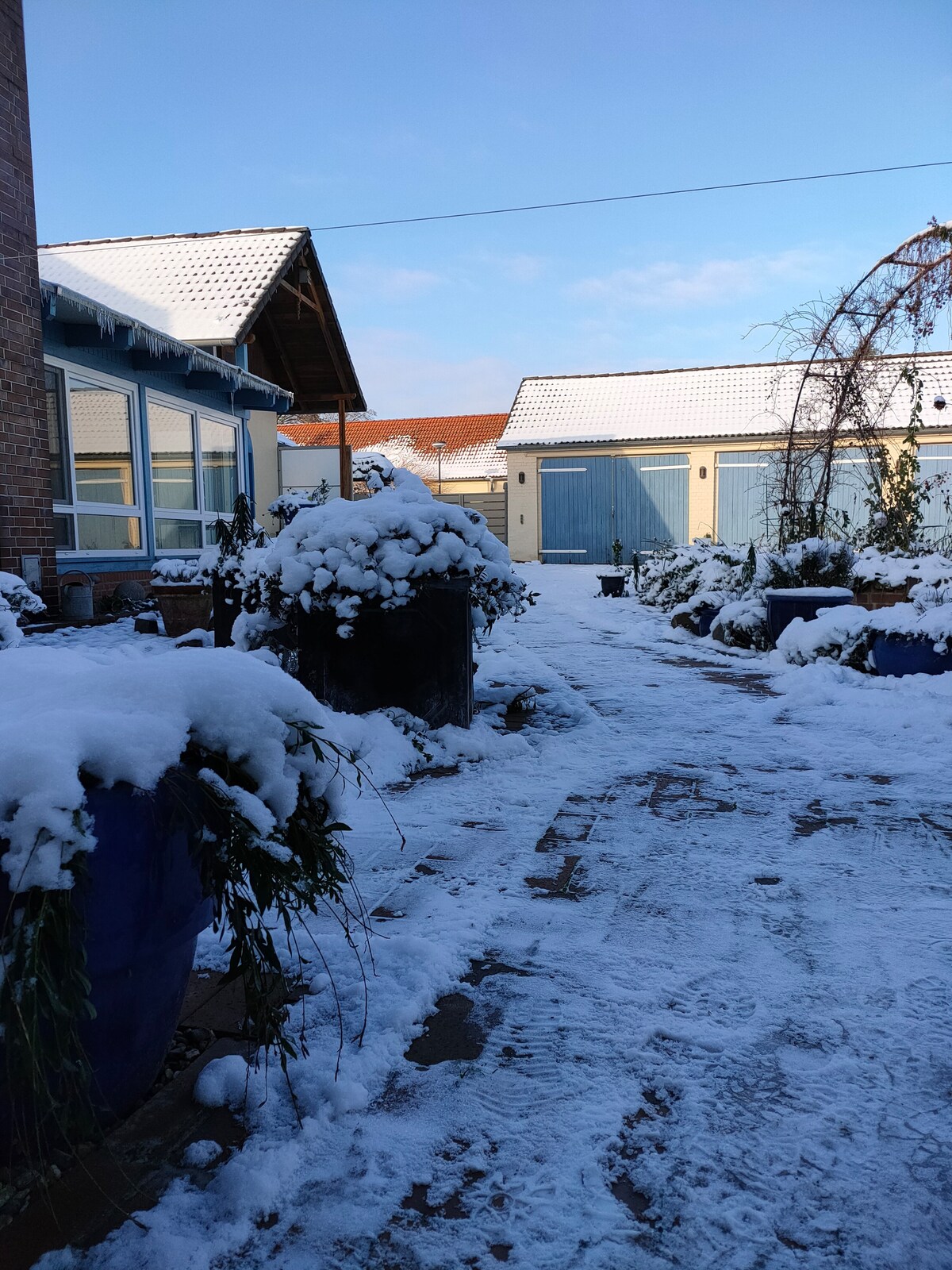 A snowy courtyard is characterized by a blanket of white snow covering the ground and surrounding flower pots. The buildings are partially visible in the background, with bright blue doors standing out against the winter scene. Clear skies and soft sunlight create a serene atmosphere.