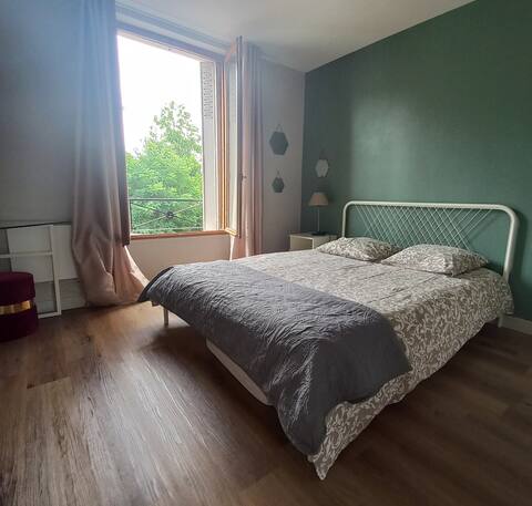 Charming apartment+ Private downtown parking
