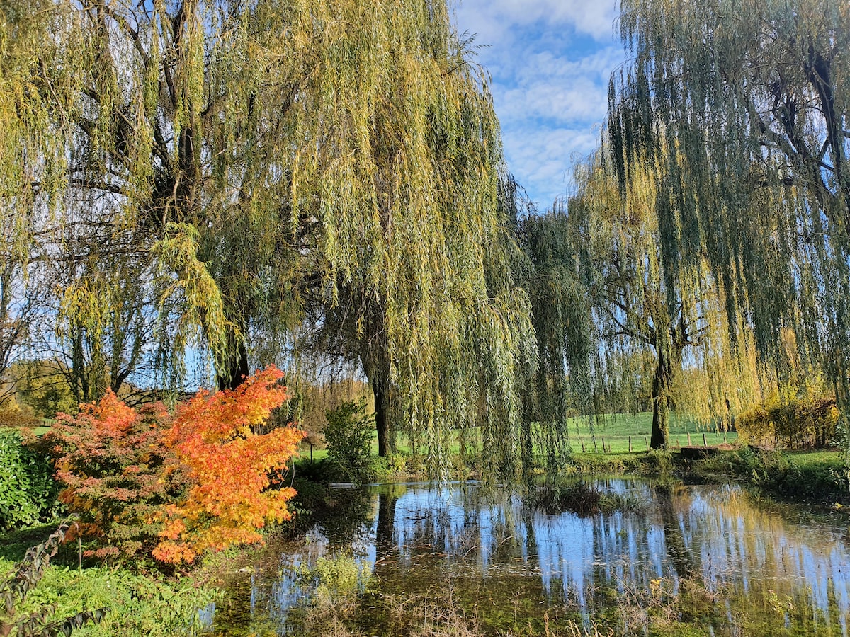 A serene pond is bordered by lush greenery and vibrant willow trees, their branches gently swaying. A splash of autumn color is provided by a nearby shrub displaying orange foliage. The tranquil scene reflects the sky, enhancing the peaceful atmosphere.