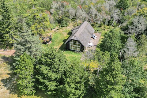 Country Cottage Near Ocean & Skagen