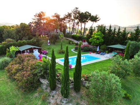 House with private pool and cabin, sleeps 8