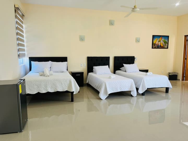 Dormitorio 5
1 cama doble, 2 camas individuales y 1 sofá cama individual.