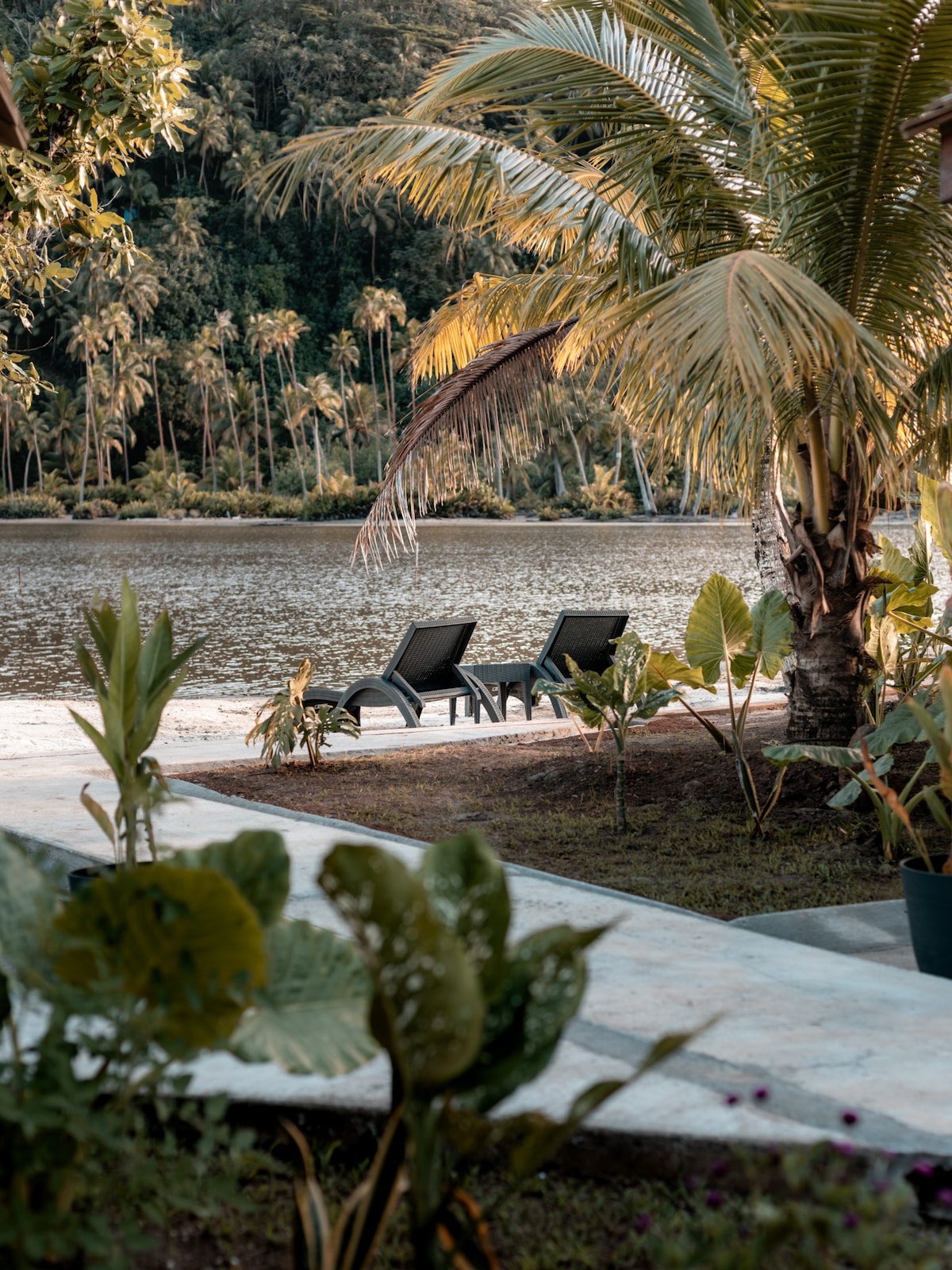 Two lounge chairs are positioned beside a tranquil lagoon, surrounded by lush greenery. Palm trees and tropical plants frame the scene, creating a serene outdoor space with direct views of the water.