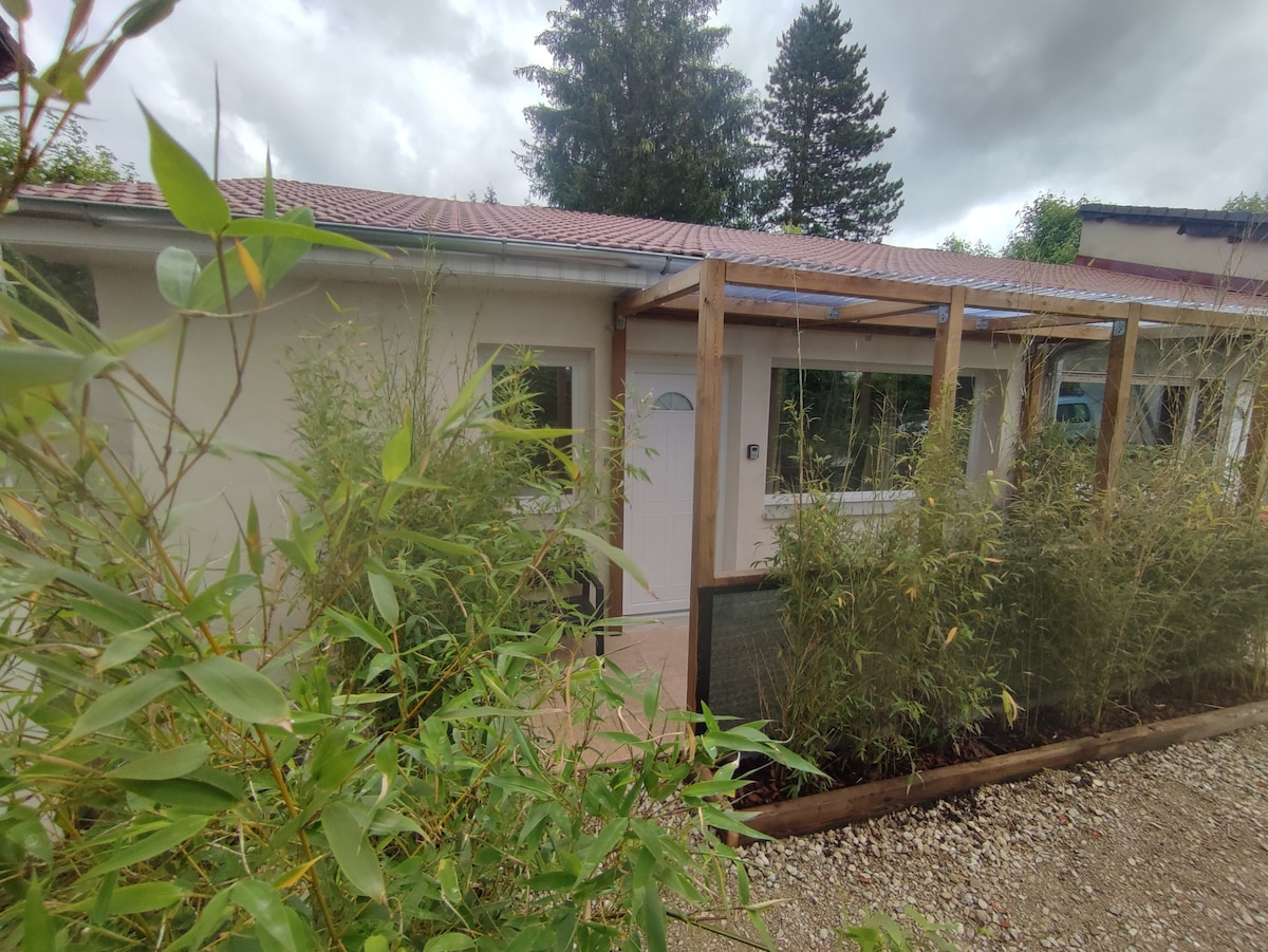 The exterior of the renovated studio is shown, featuring a private terrace with a covered pergola. Lush greenery surrounds the entrance, providing a natural setting. The structure has large windows, enhancing the inviting appearance of the space.