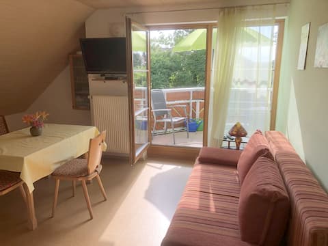 Top performing Airbnb: Air-conditioned apartment in the countryside in Bodenseekreis