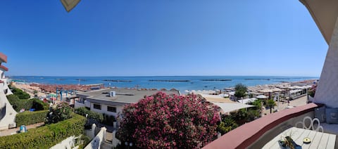 Elegant house by the sea