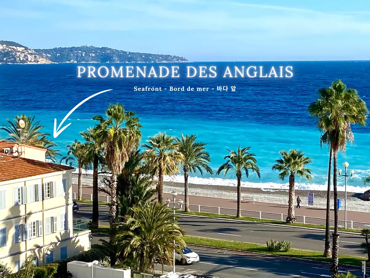 A view of the Promenade des Anglais, showcasing a vibrant blue ocean and sandy beach. Palm trees line the waterfront, enhancing the coastal ambiance. The image captures a serene seaside atmosphere, inviting relaxation and leisure.