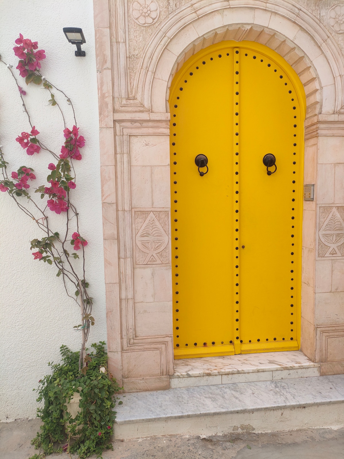 A bright yellow double door features decorative patterns and metal knocker rings, set against a textured white wall. Bougainvillea vines with vibrant pink flowers cascade alongside the entrance, adding a touch of greenery to the aesthetic.