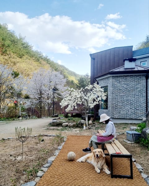 [Inje Private House/60 pyeong of actual floor space] Healing in the forest with a private valley and