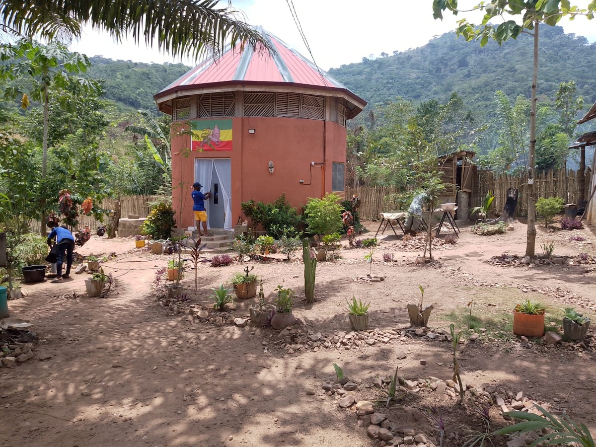 The exterior of a round brick building is showcased, surrounded by a natural garden filled with various plants. A pathway leads to the entrance, with seating areas and trees visible in the background, set against a backdrop of rolling hills.
