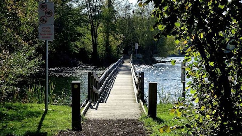 A wooden pedestrian bridge extends over a tranquil body of water, surrounded by lush greenery. Sunlight reflects off the water's surface, creating a serene atmosphere. Signs are positioned along the pathway and are visible on both sides of the bridge.