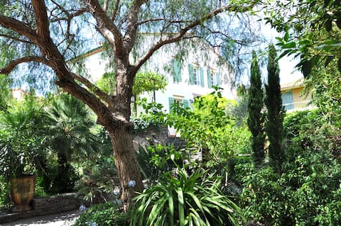 Green oasis in the center (air conditioning & parking)