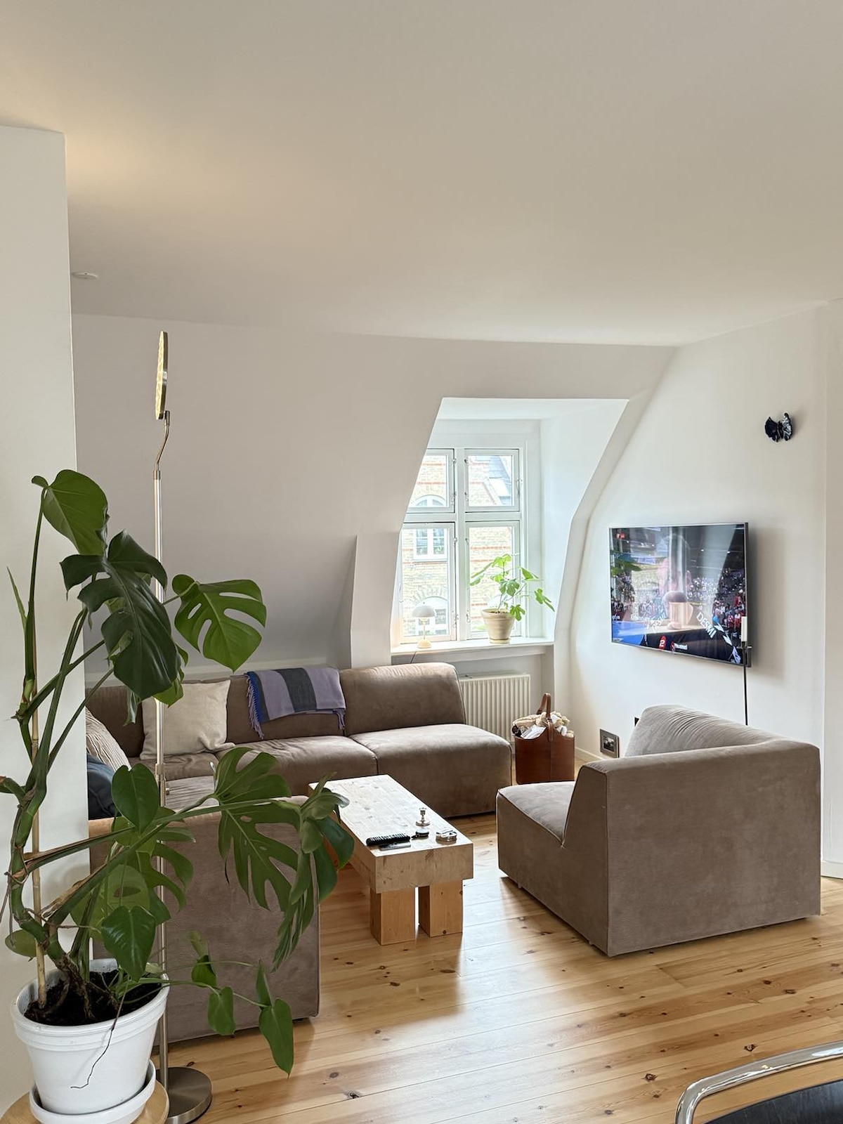 A living area is shown with soft seating arranged around a central wooden table. A large window allows natural light to fill the space, and a television is mounted on the wall. A decorative plant enhances the calm atmosphere, complementing the neutral color palette.