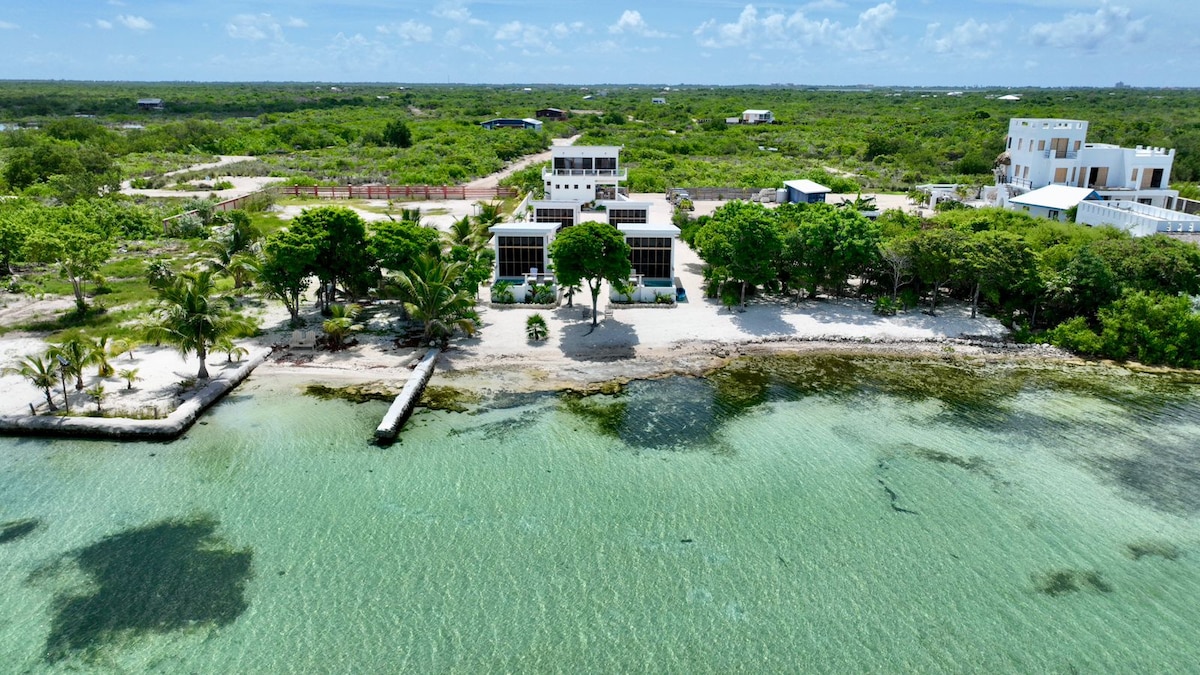 An aerial view of the eco-friendly resort is presented, showcasing the pristine beachfront and turquoise waters. Lush greenery surrounds the property, with palm trees dotting the sandy shore. The main building features large glass windows, offering an inviting look towards the ocean.