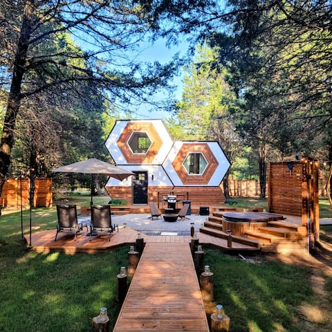 HoneyHive—Winter Bliss, Honey-Kissed