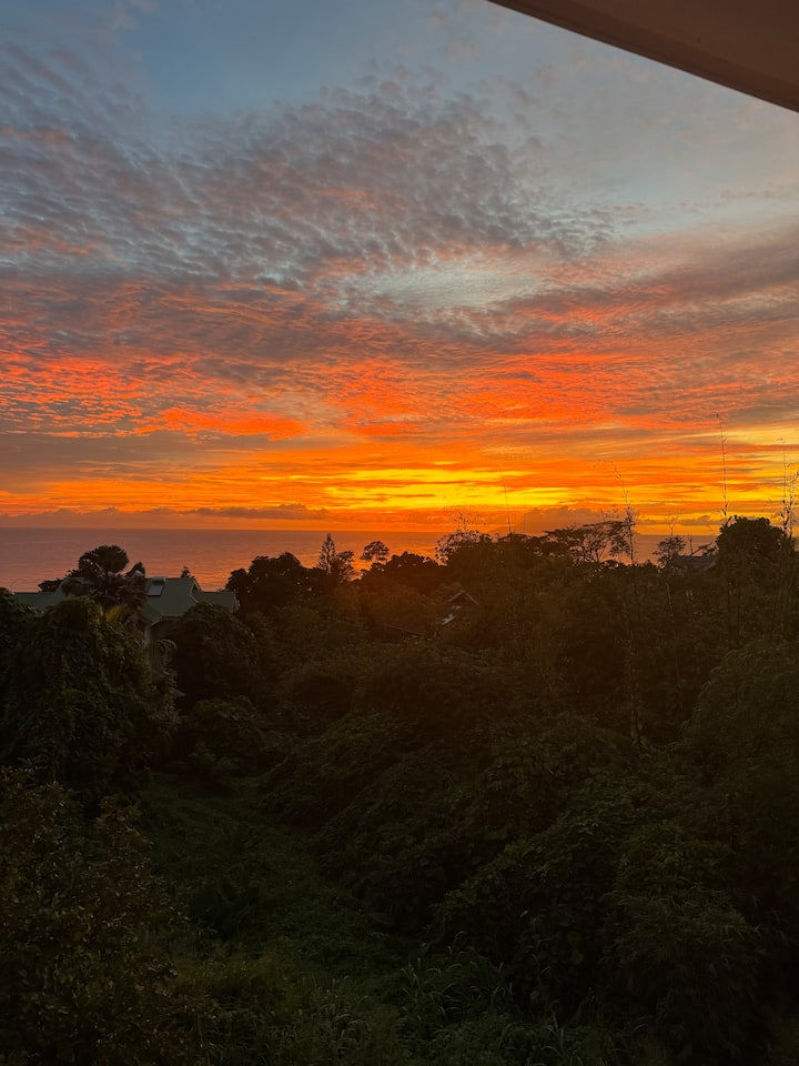 Tierra Santa Self Catering Apartment - Seychelles