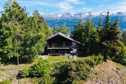 Family and cozy chalet, exceptional panorama