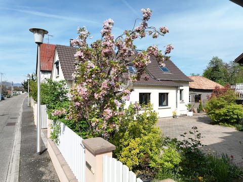 Alsace village house 90 m² – Colmar & vineyard