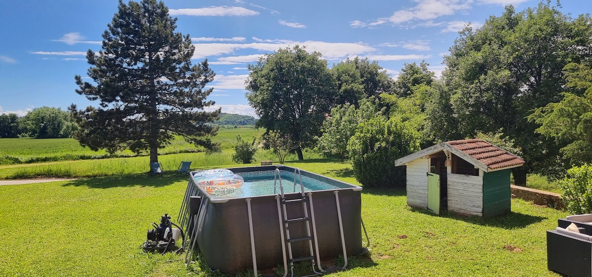 An outdoor space features a rounded above-ground pool set on vibrant green grass. Nearby, a simple wooden hut with a sloped roof is visible. A tall pine tree and lush greenery provide a natural backdrop, creating a serene and open setting.