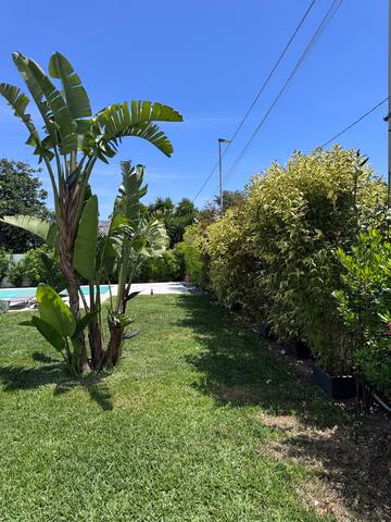 Casa del Sol – Luxury Estate Puglia gallery image 4