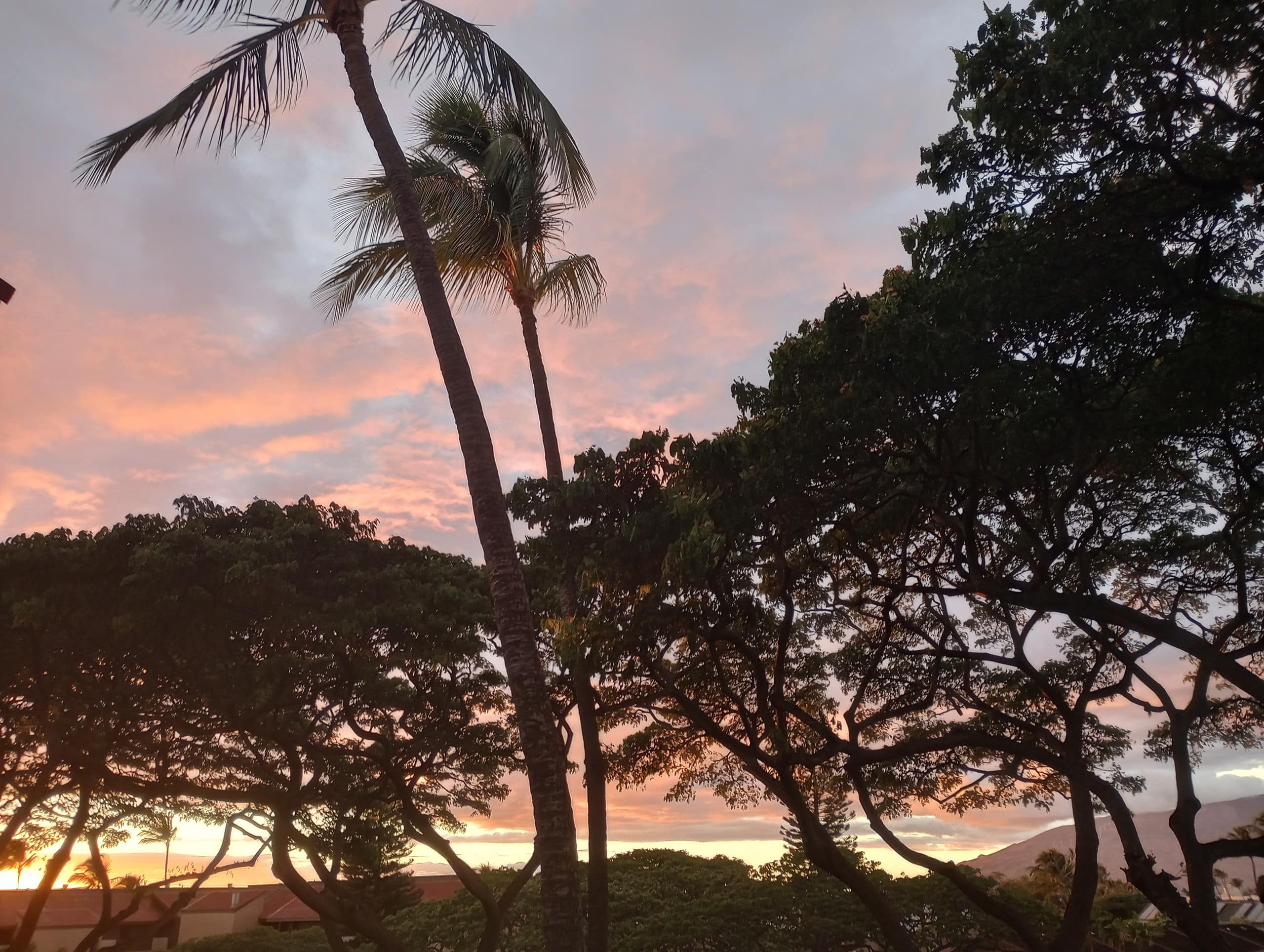 Condo in Kihei · ★4.98 · 1 bedroom · 2 beds · 1 bath - Image 73