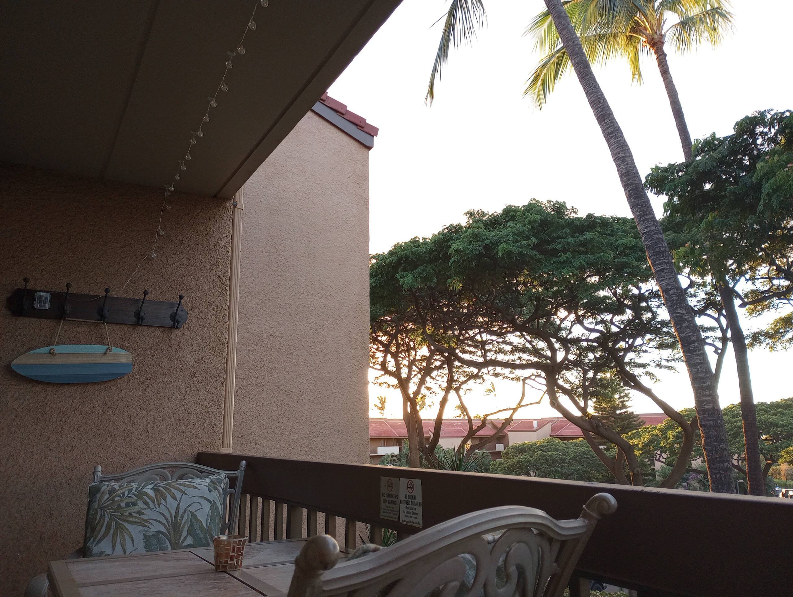Condo in Kihei · ★4.98 · 1 bedroom · 2 beds · 1 bath - Image 56