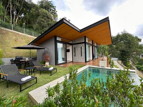 Contemporary House in Green Valley