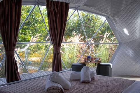Lemon tree dome house