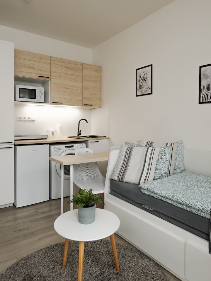 אזור השינה בסלון זורם ישירות למטבחון.