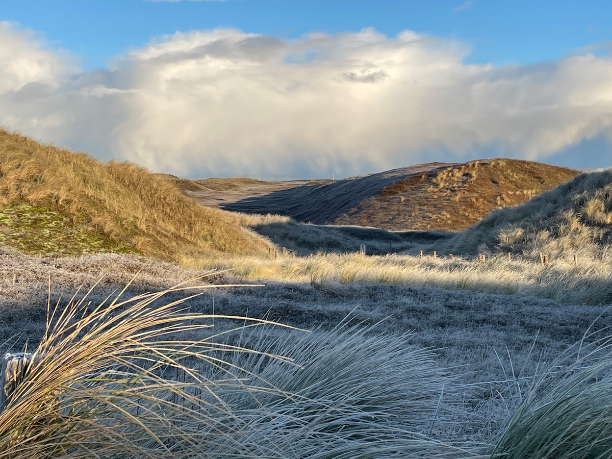A serene landscape depicts rolling hills covered in soft grass, illuminated by the morning light. The foreground features wispy grass, while the gentle slopes extend into the distance, creating a sense of tranquility. A backdrop of clouds adds depth to the scene.