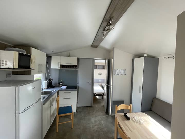 Mobil-home Le Riesling – 6 Personnes – Clim Et Tv - Rust