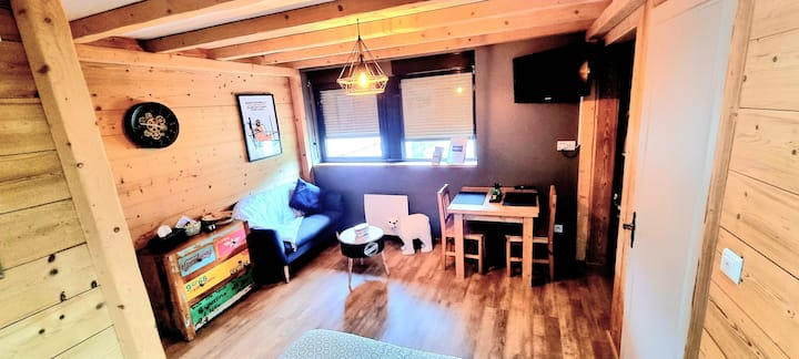 Studio Type Chalet - Vosges