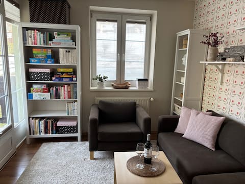 Successful Airbnb property: Beautiful apartment in a house in the center in Rokytnice Nad Jizerou