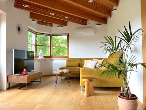 Apartment in the house, free parking, air conditioning