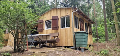 The Shack in the Forest