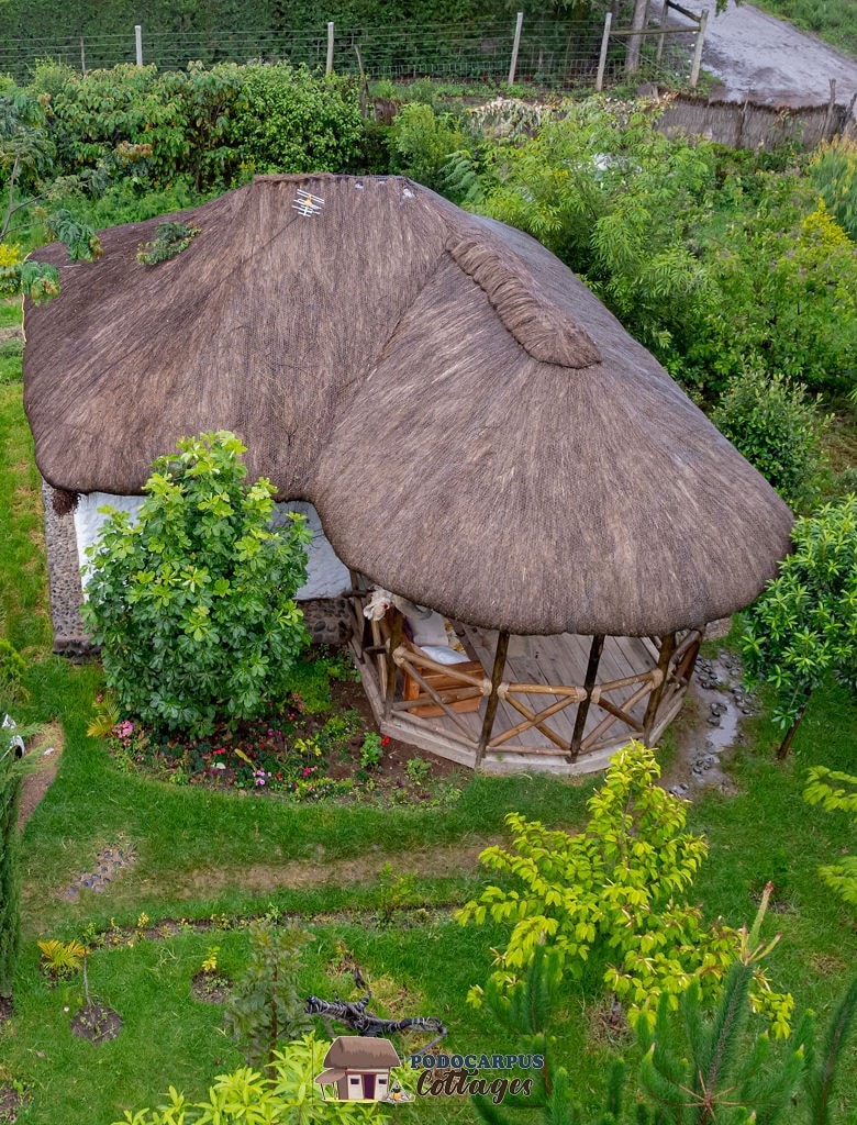 A thatched-roof cottage is surrounded by lush greenery and various plants. The structure features wooden pillars supporting a circular veranda, inviting natural light into the interior. The picturesque setting blends harmoniously with the forest environment, providing a tranquil atmosphere.
