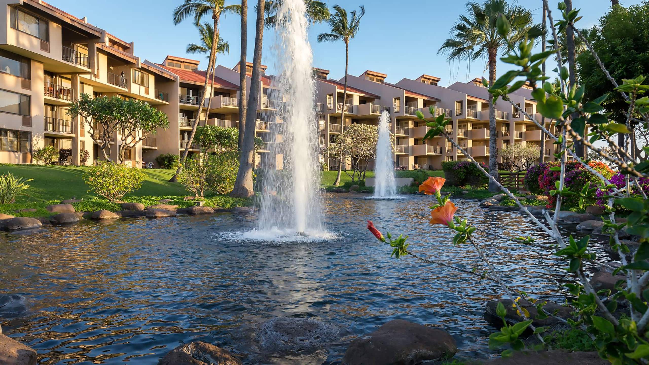 Condo in Kihei · ★5.0 · 1 bedroom · 4 beds · 1 bath - Image 17