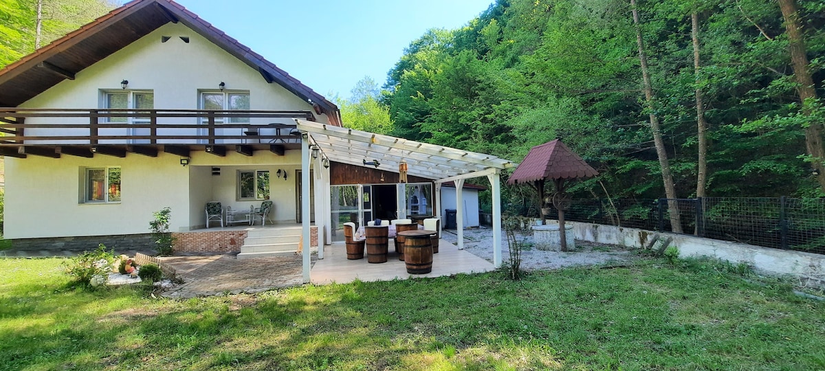 A spacious outdoor area is visible, featuring a covered patio with a bar made of wooden barrels. The home, set against a lush green backdrop of trees, includes a balcony and large windows, providing ample natural light. A cozy gazebo adds to the tranquil atmosphere.